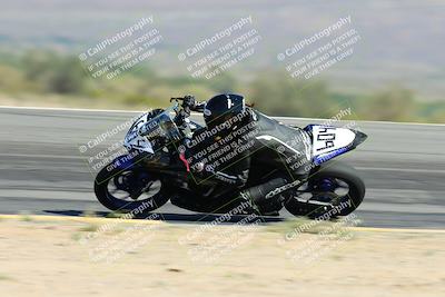 media/Apr-14-2024-SoCal Trackdays (Sun) [[70f97d3d4f]]/3-Turn 12 Speed Pans (945am)/